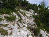 Najberž - Wackendorfer Spitze